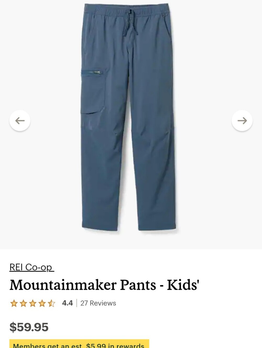 REI Blue Mountainmaker Hiking Pants